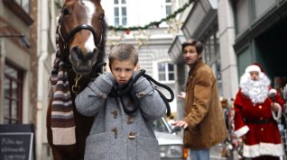 Online film Kůň na balkóně