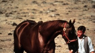 Online film Phar Lap