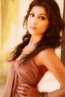 Herec Pallavi Sharda