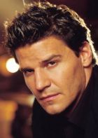 Herec David Boreanaz