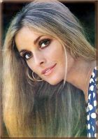 Herec Sharon Tate