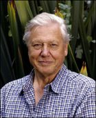 Herec David Attenborough