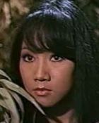 Herec Mei Chen