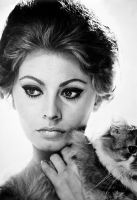 Herec Sophia Loren